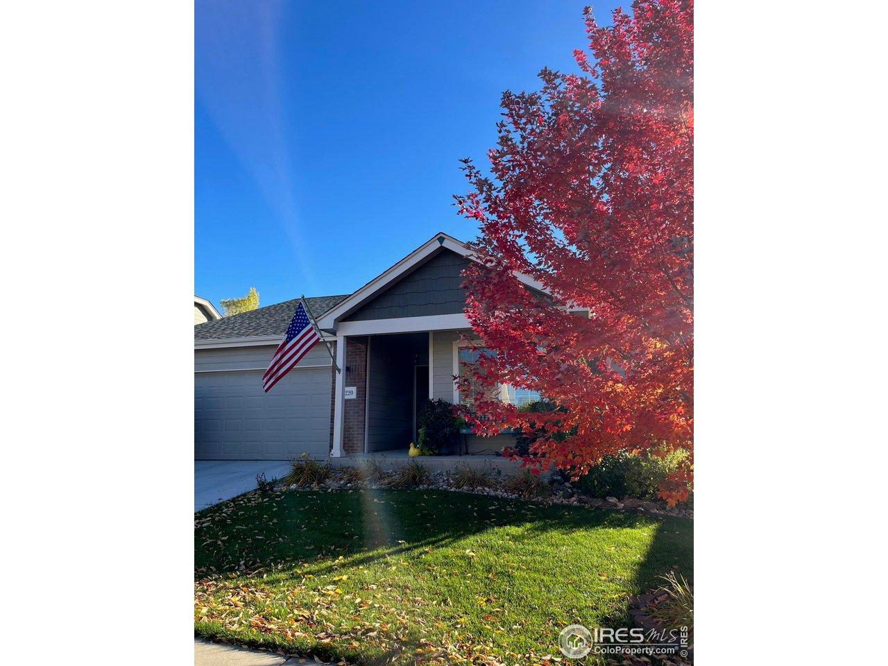 Image 4: The front yard during fall, featuring a beautiful blazing Red Maple