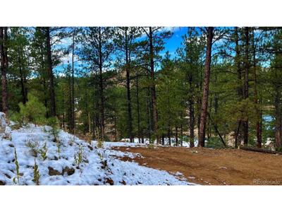 15126 N Pine Lake Pl