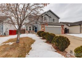 313 Sandstone