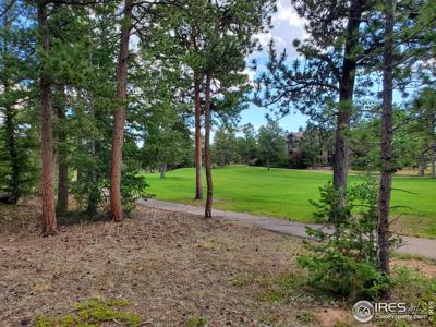 3021 Lake Arapahoe Ct