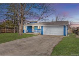 4117 Rockcress
