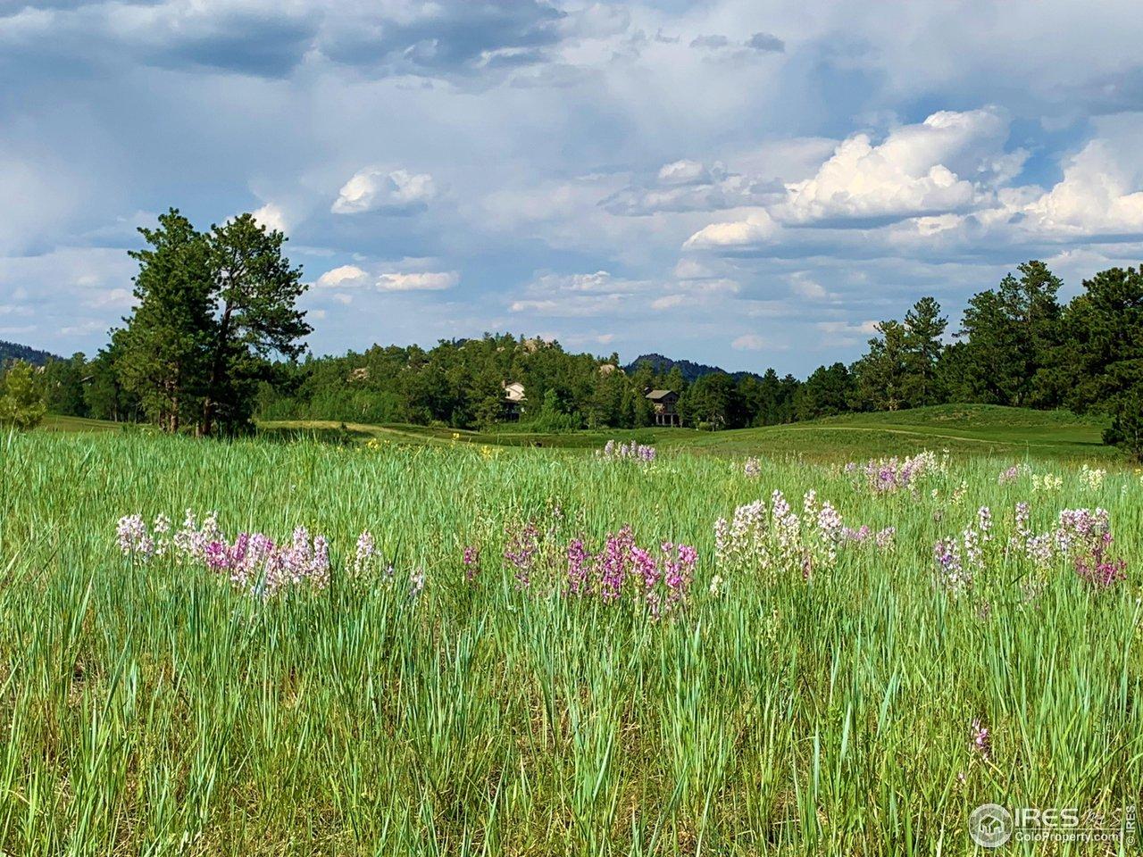 Image 4: Spring/Summer flowers at Lot 4