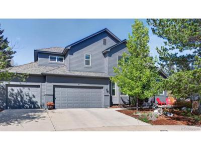 807 Rock Rose Ct