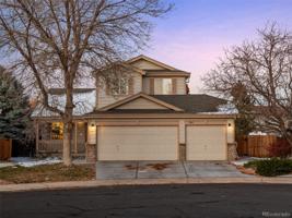 13183 Vine