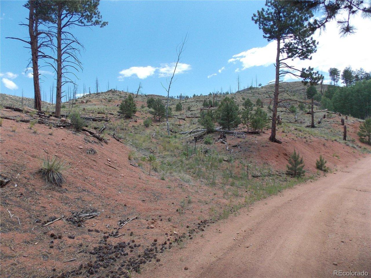 Image 1: On Crooked Trail Rd looking at the lot Image 1: On Crooked Trail Rd looking at the lot