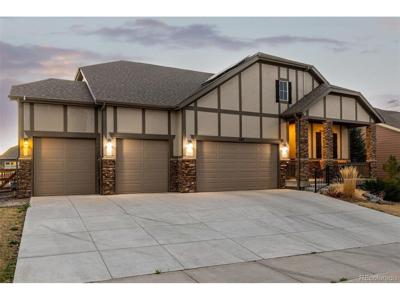 1182 Red Iron Ct