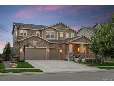 908 Dinosaur Dr