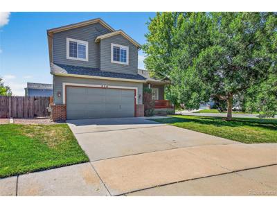 859 Brimble Ct