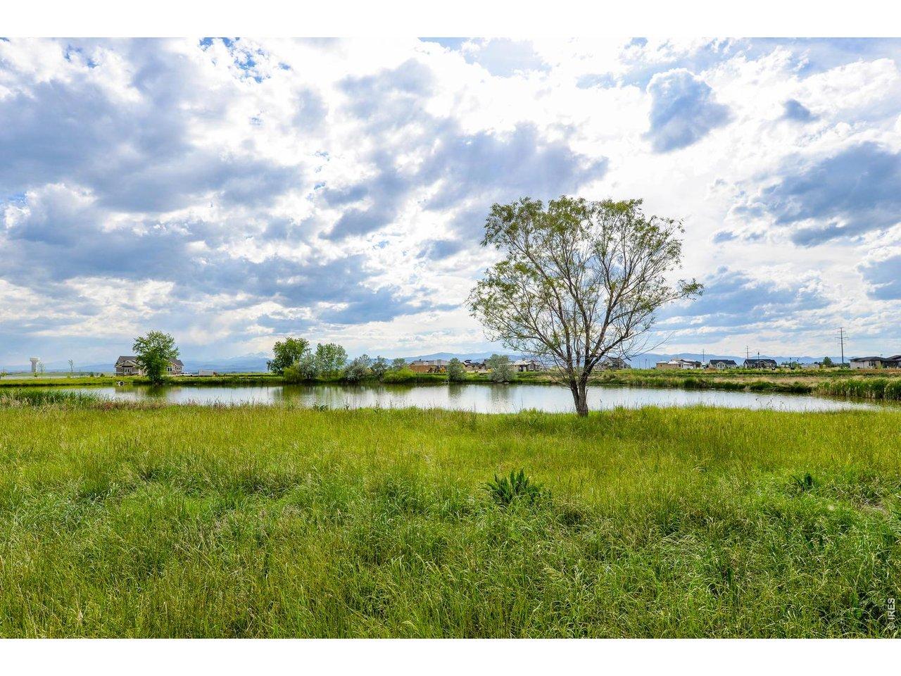 Image 4: Charming ponds in the greenspace