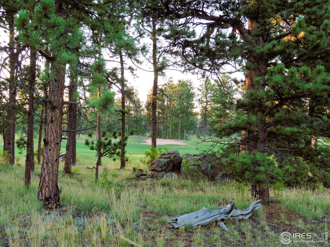 Image 4: Lot 2 Image 4: Lot 2