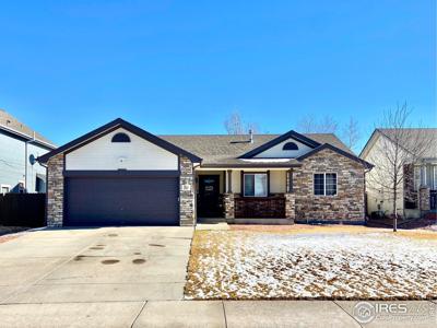 307 Sandstone