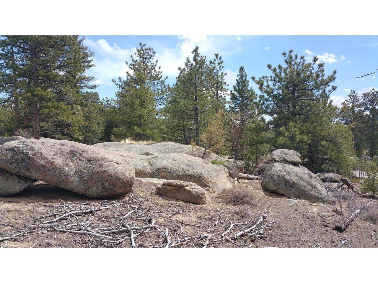 Image 1 Image 1