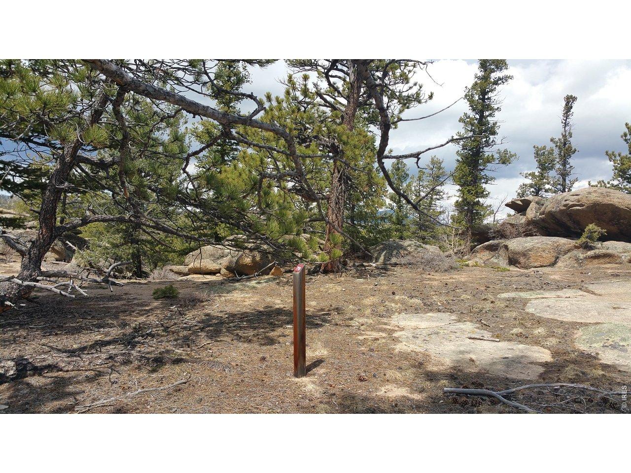 Image 4 Image 4