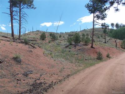14691 Crooked Trail Rd