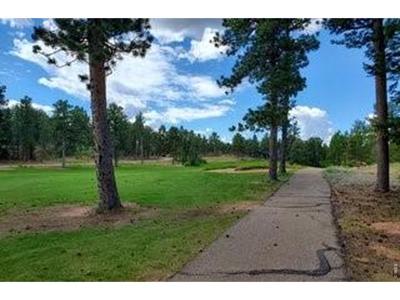 3021 Lake Arapahoe Ct