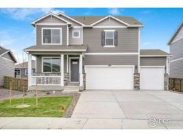 804 Elias Tarn