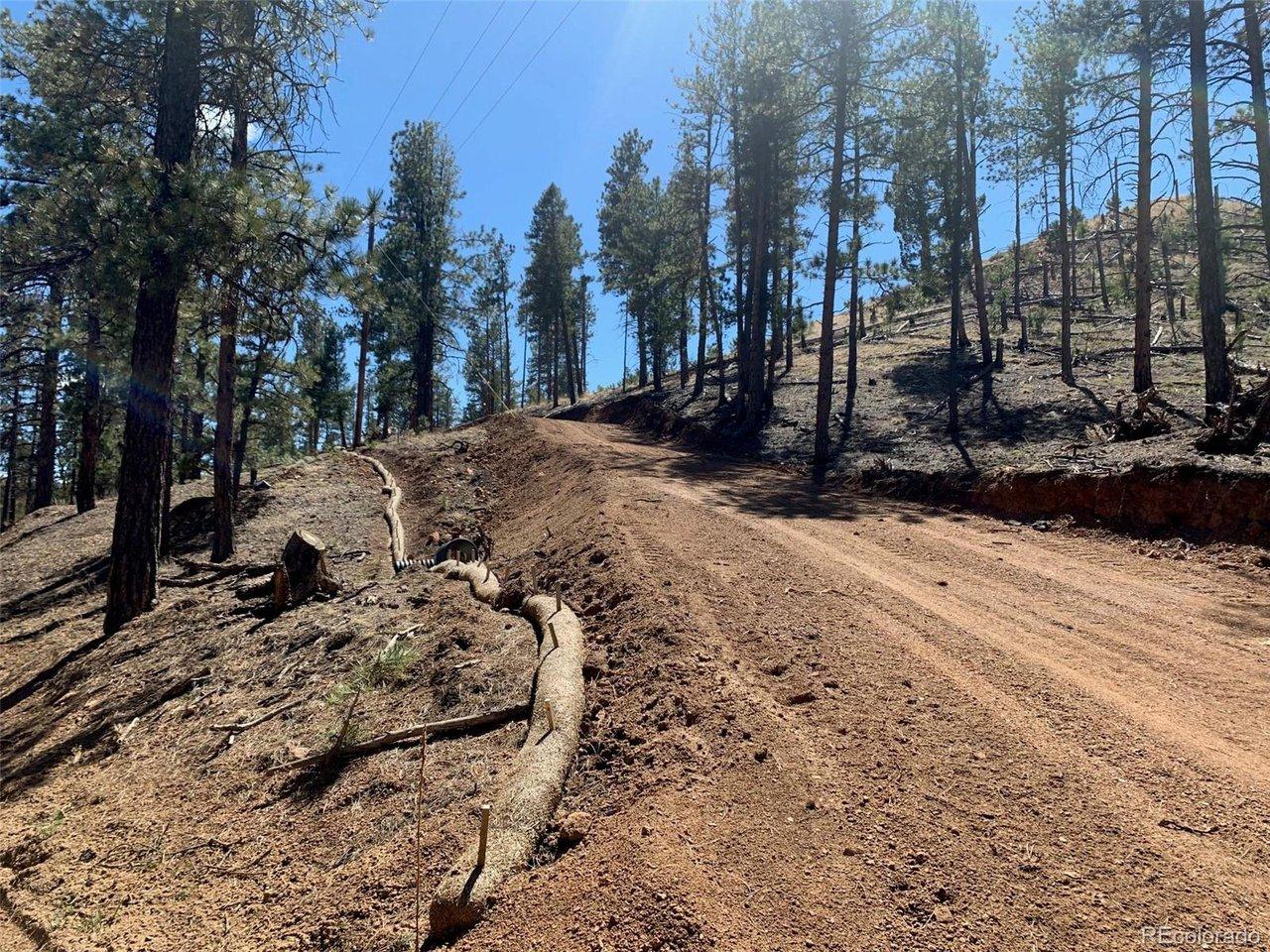 Image 2: Brand new driveway cut in