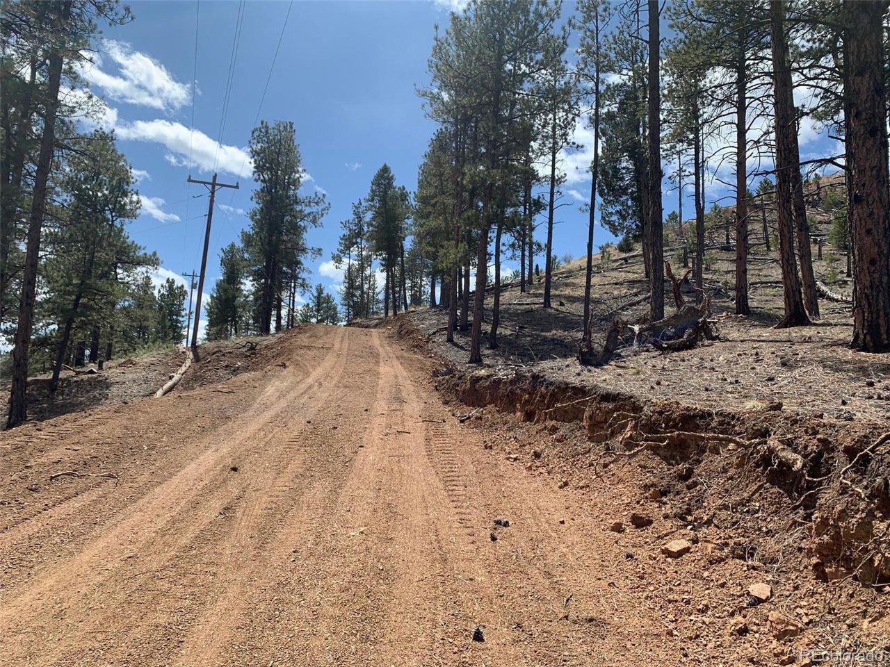 Image 3: View looking up the driveway from the bottom