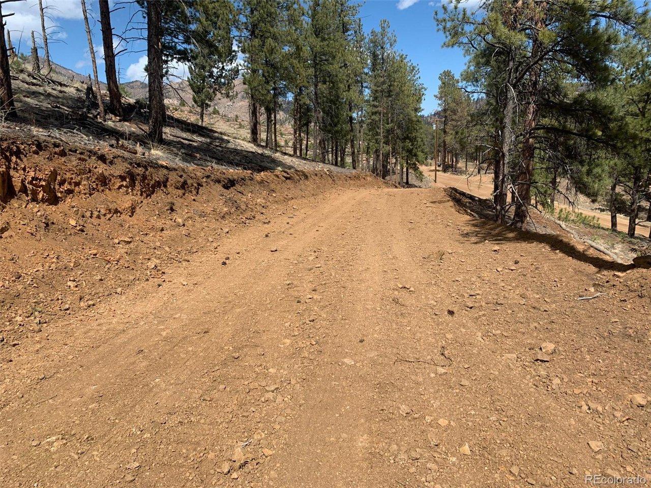 Image 4: View from build site to the beginning of the driveway