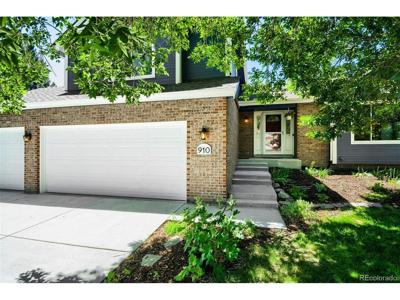 910 E 130th Dr
