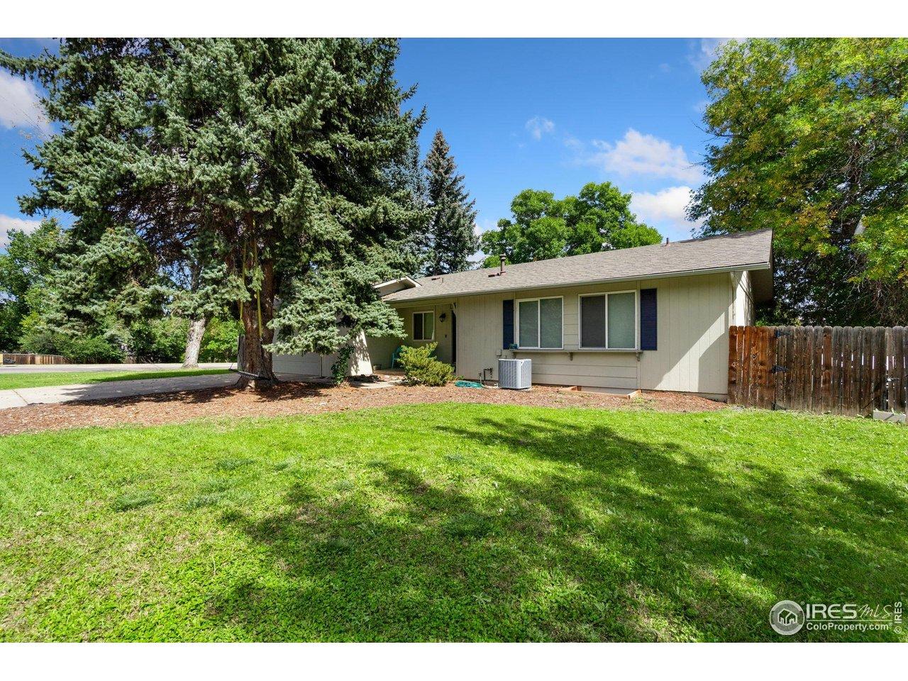 Image 4: Surrounded by large, mature trees Image 4: Surrounded by large, mature trees