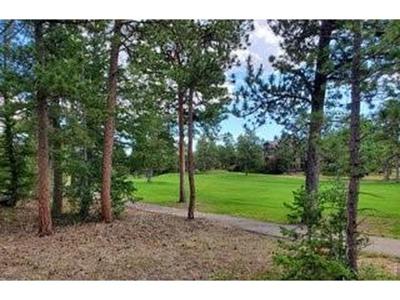 3031 Lake Arapahoe Ct