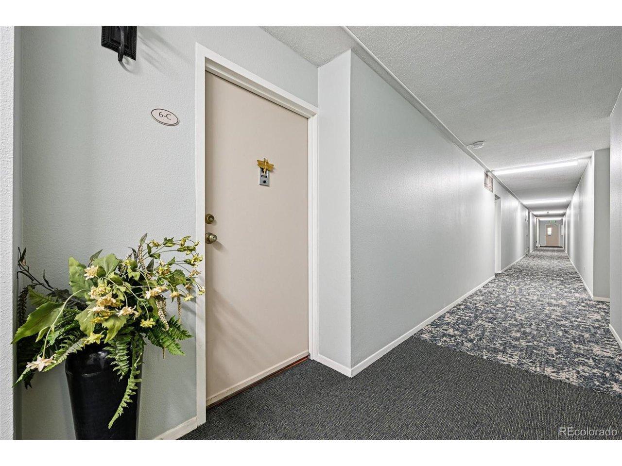 Image 4 Image 4