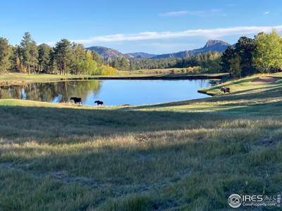 3020 Lake Arapahoe