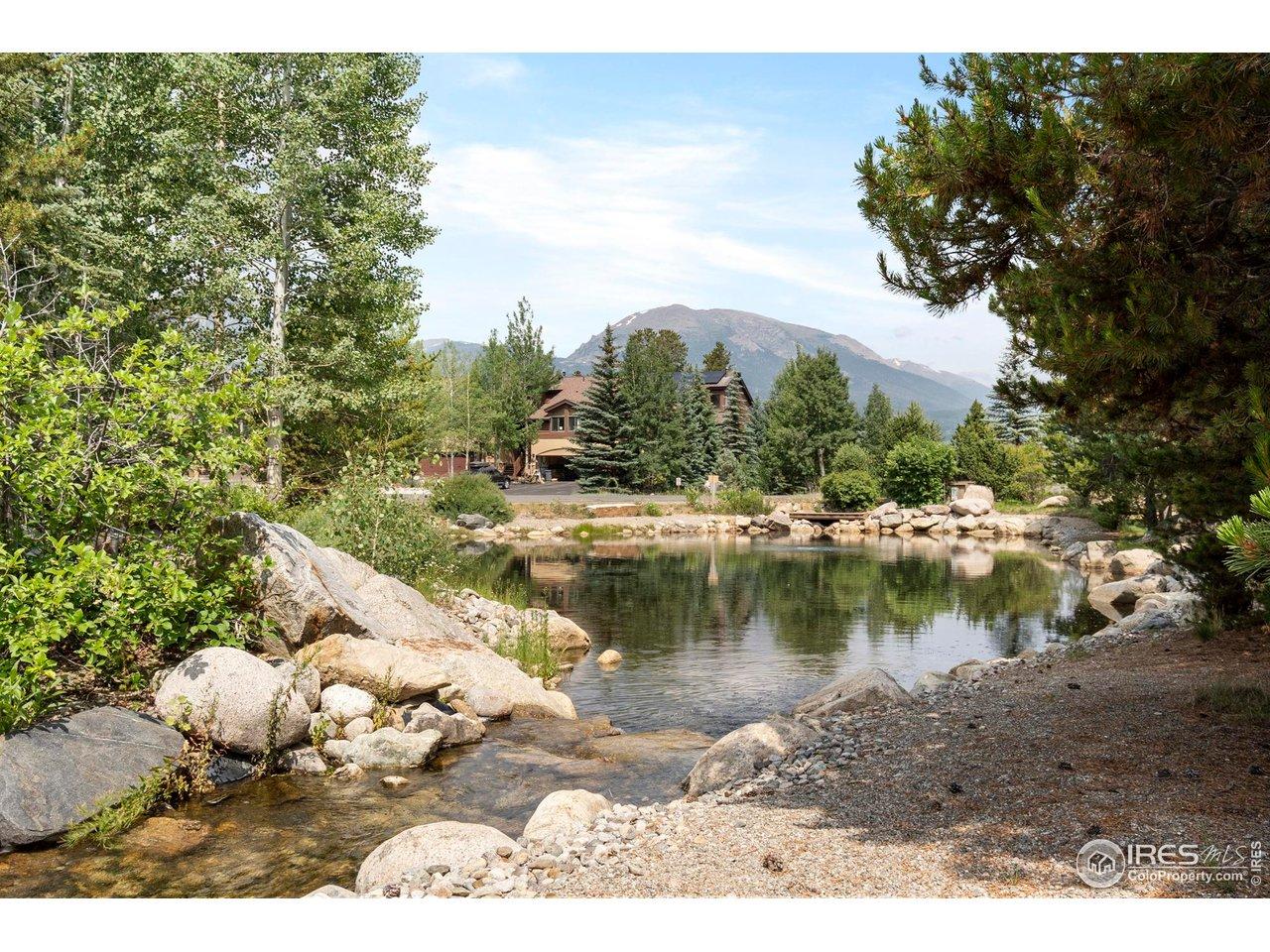 Image 4: creek and pond behind home