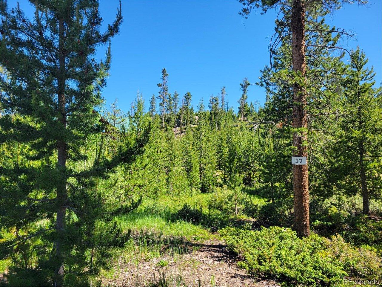 Image 1: Lake View is from uphill about 100 feet - on National Forest Land Image 1: Lake View is from uphill about 100 feet - on National Forest Land