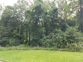 00 LN 165 Jimmerson Lk