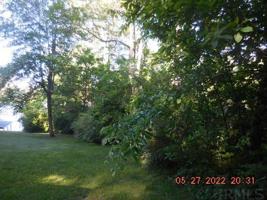 4778 N Pinecone