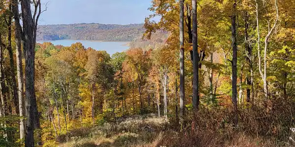75 Acres +/- E Gilmore Ridge Road