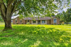 509 E Effie Mae