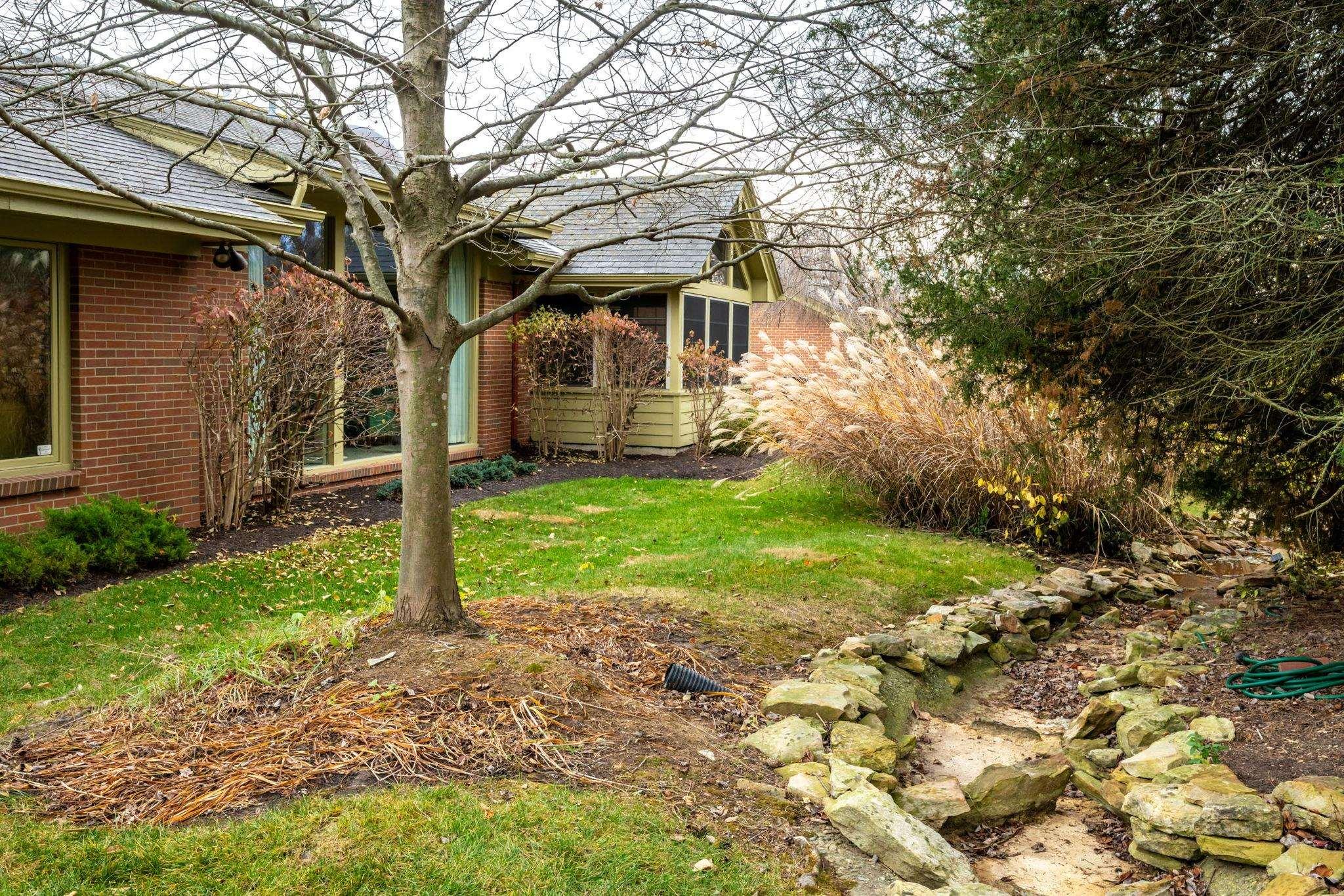 Image 1: View of grassy yard, Yard