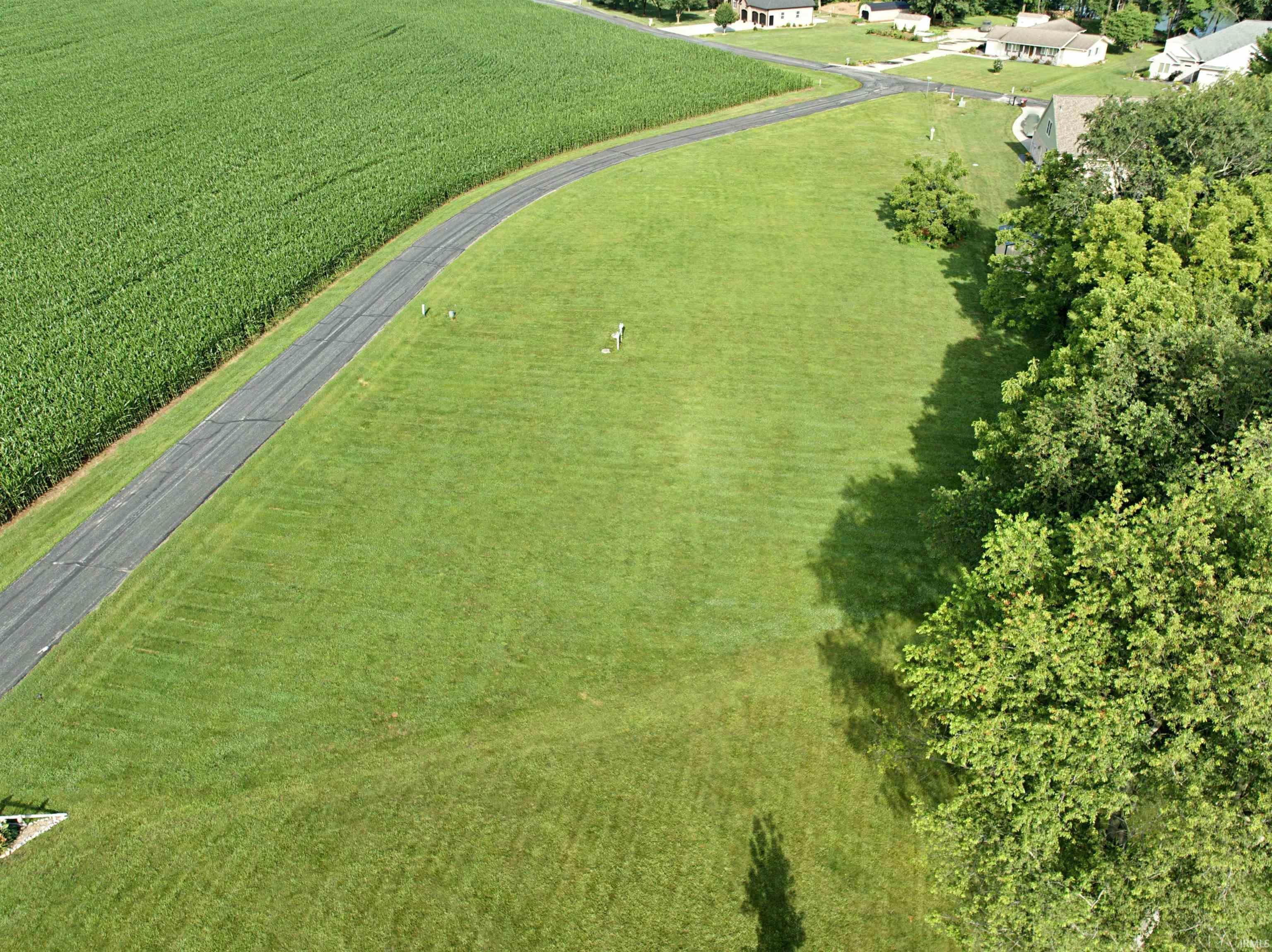 Image 1 Image 1