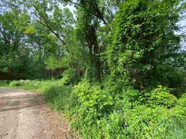 Lots 662-665 Lane 355 Jimmerson Lake