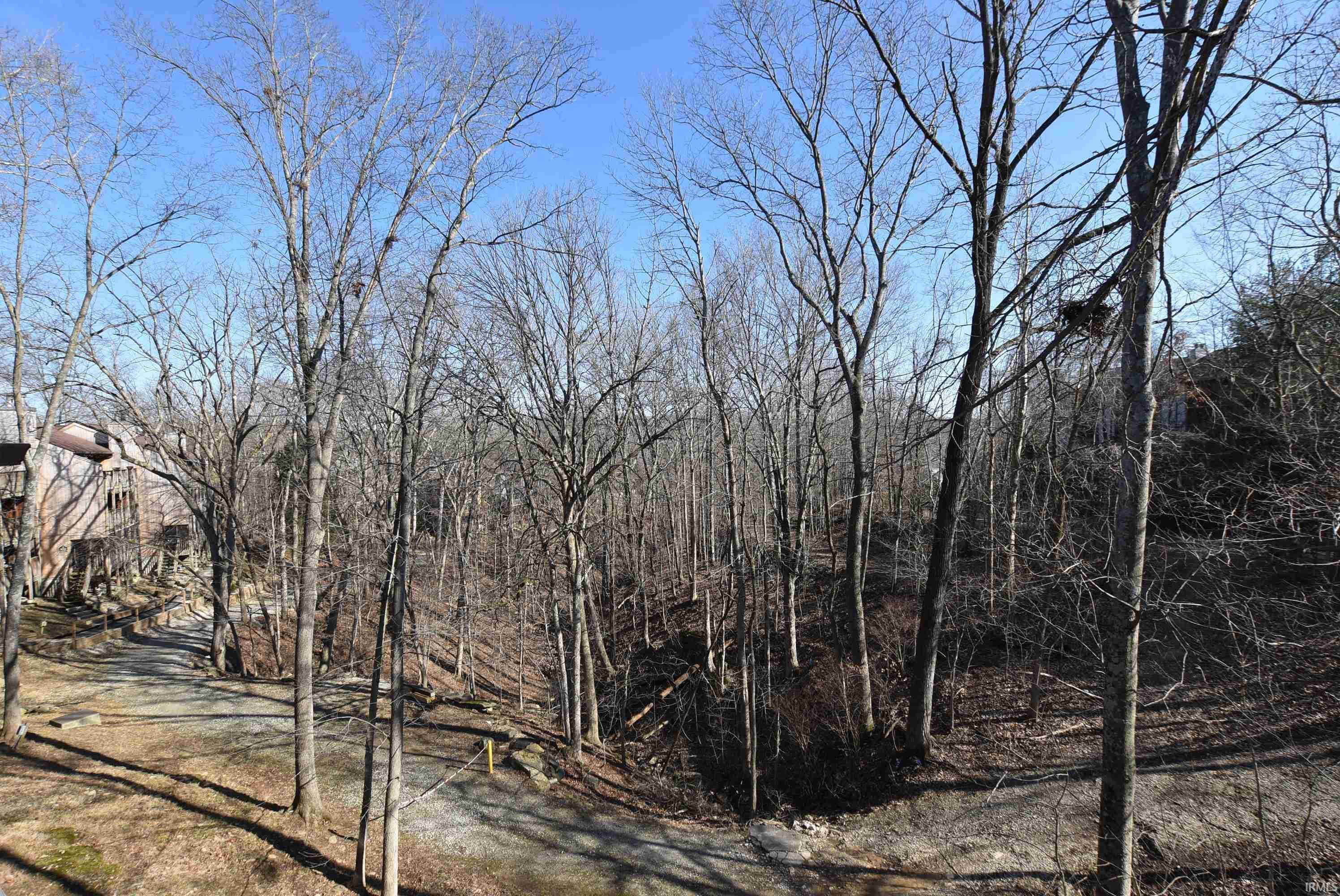 Image 1: View of local wilderness, View Image 1: View of local wilderness, View