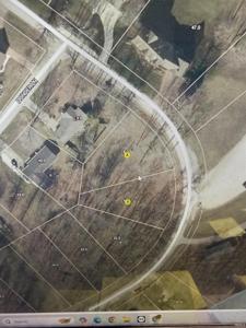 Lot 235 & 236 W Prancer