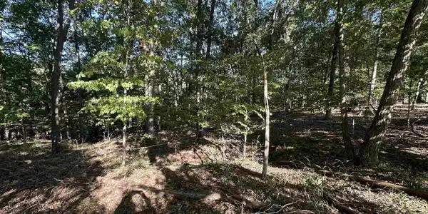 Image 3 Image 3