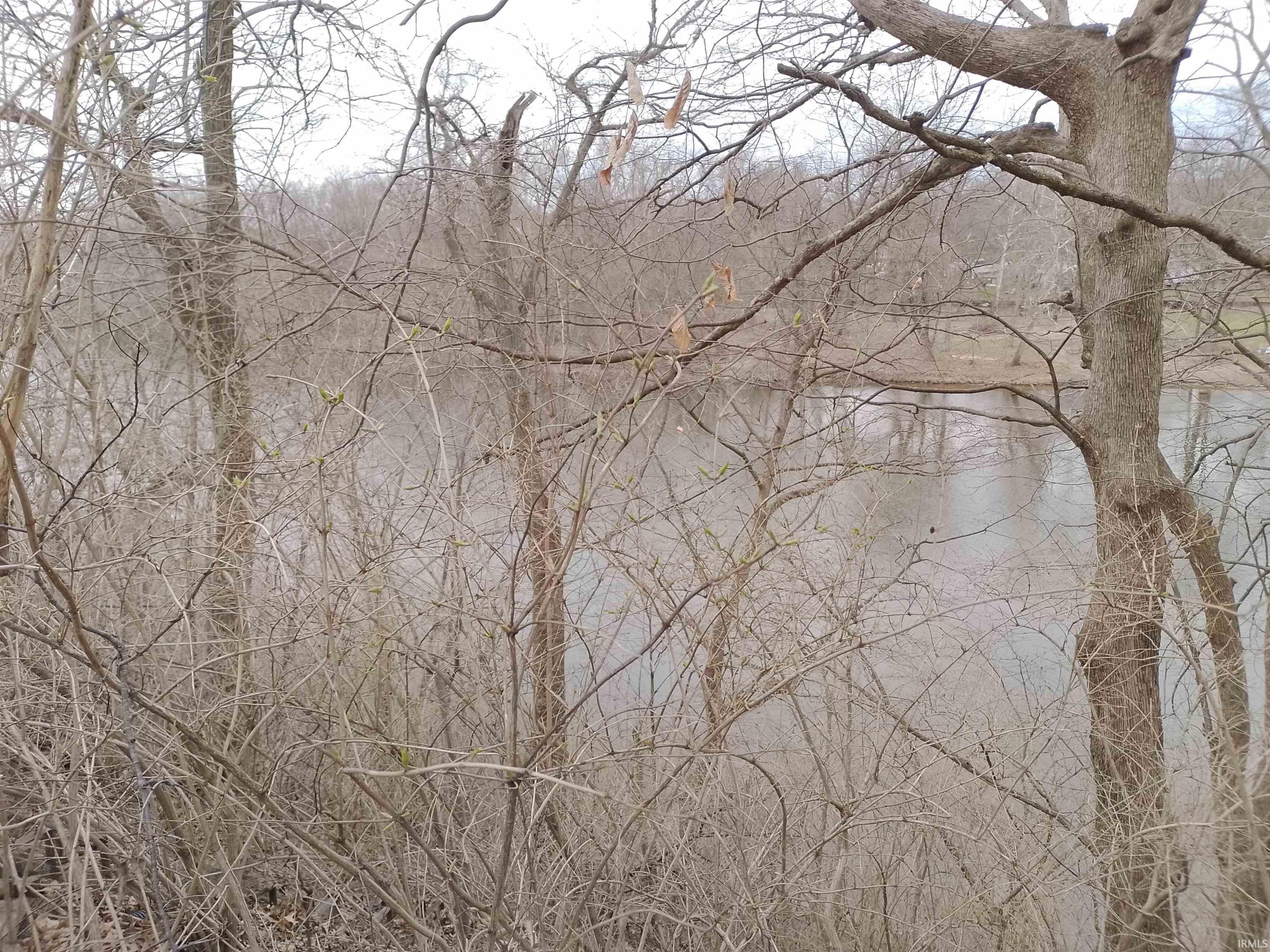 Image 1: View of local wilderness, View
