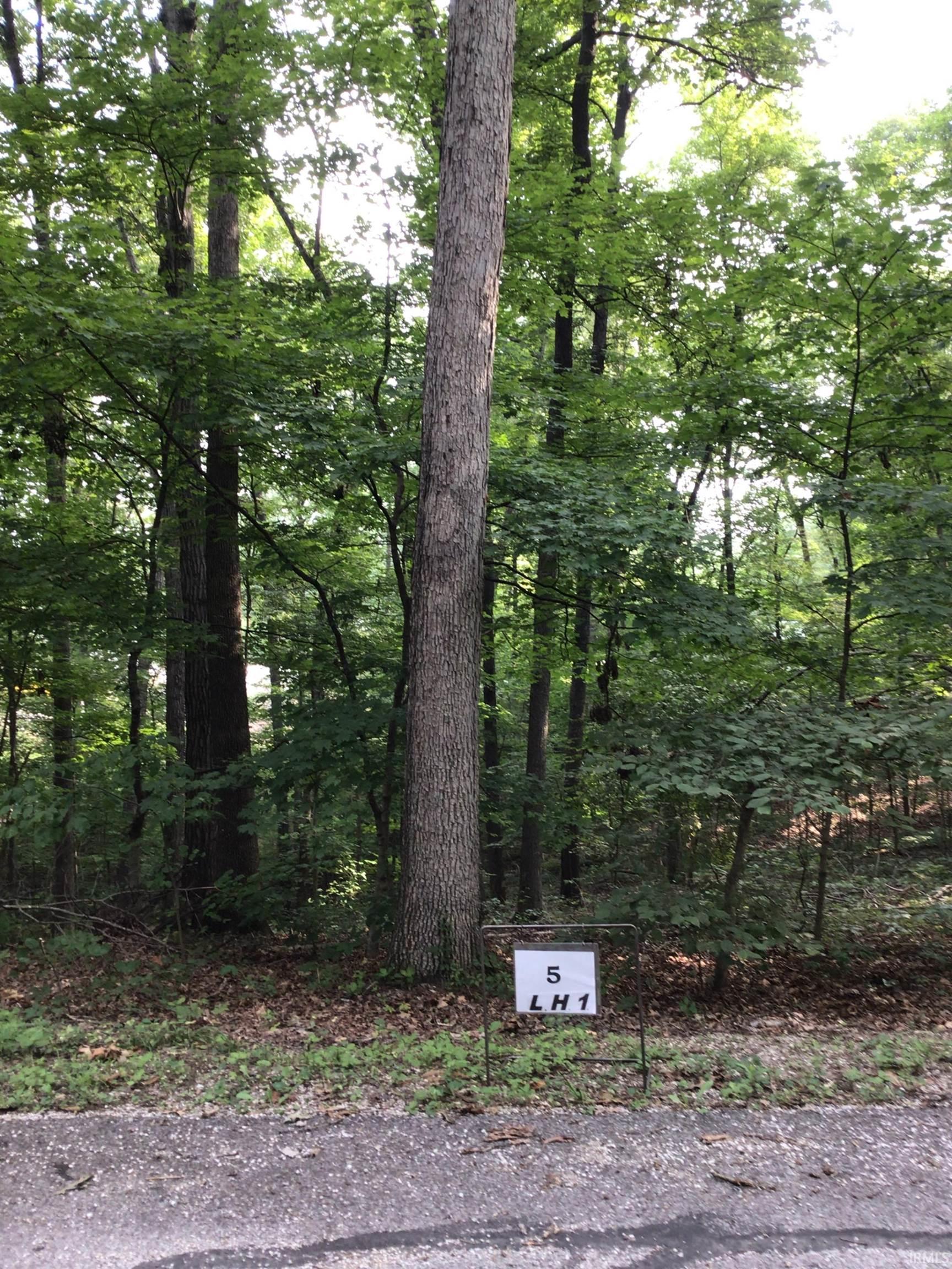 Image 0: View of undeveloped land, View