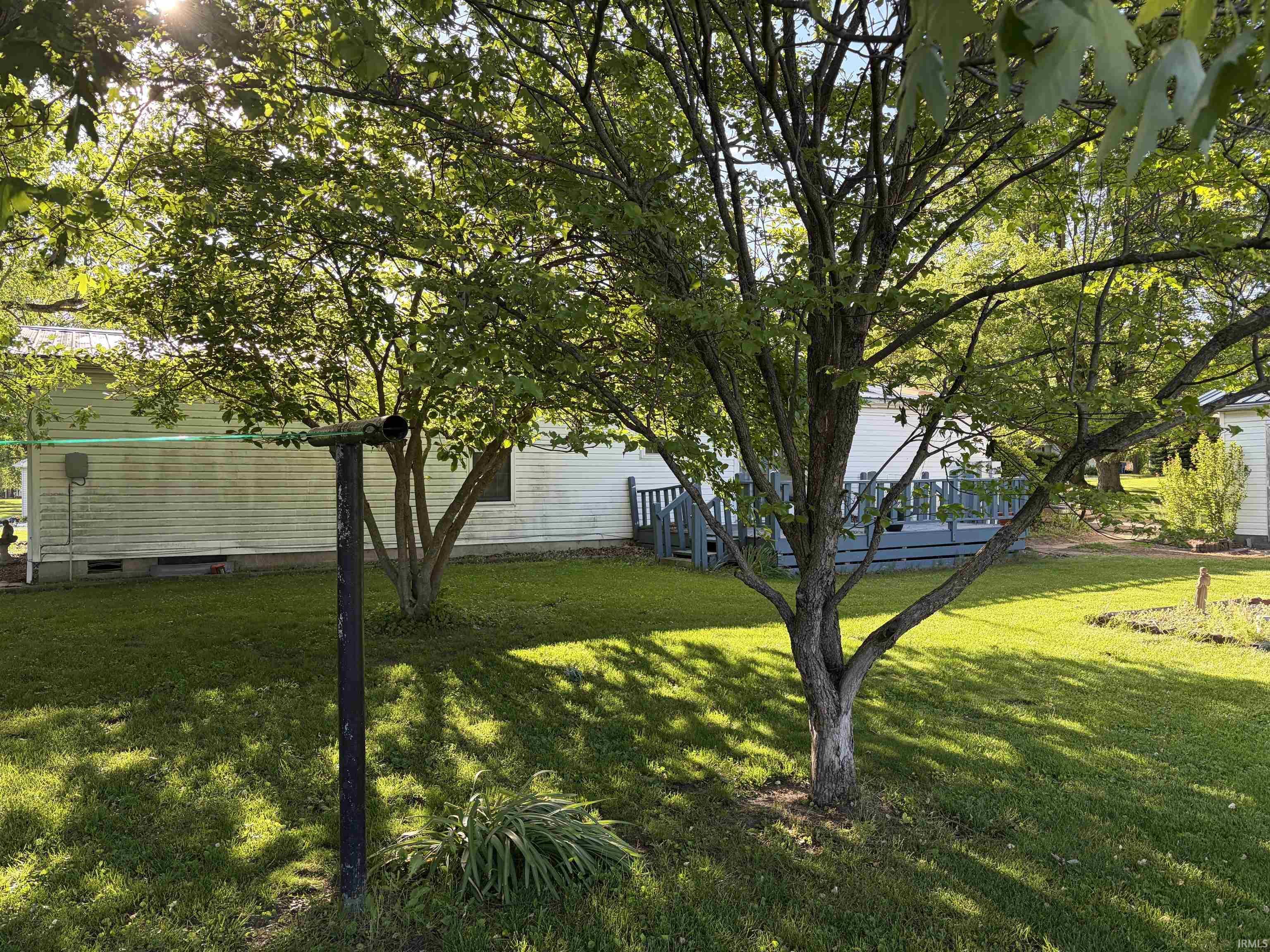 Image 3: Expansive green lawn with mature trees providing shade, Yard