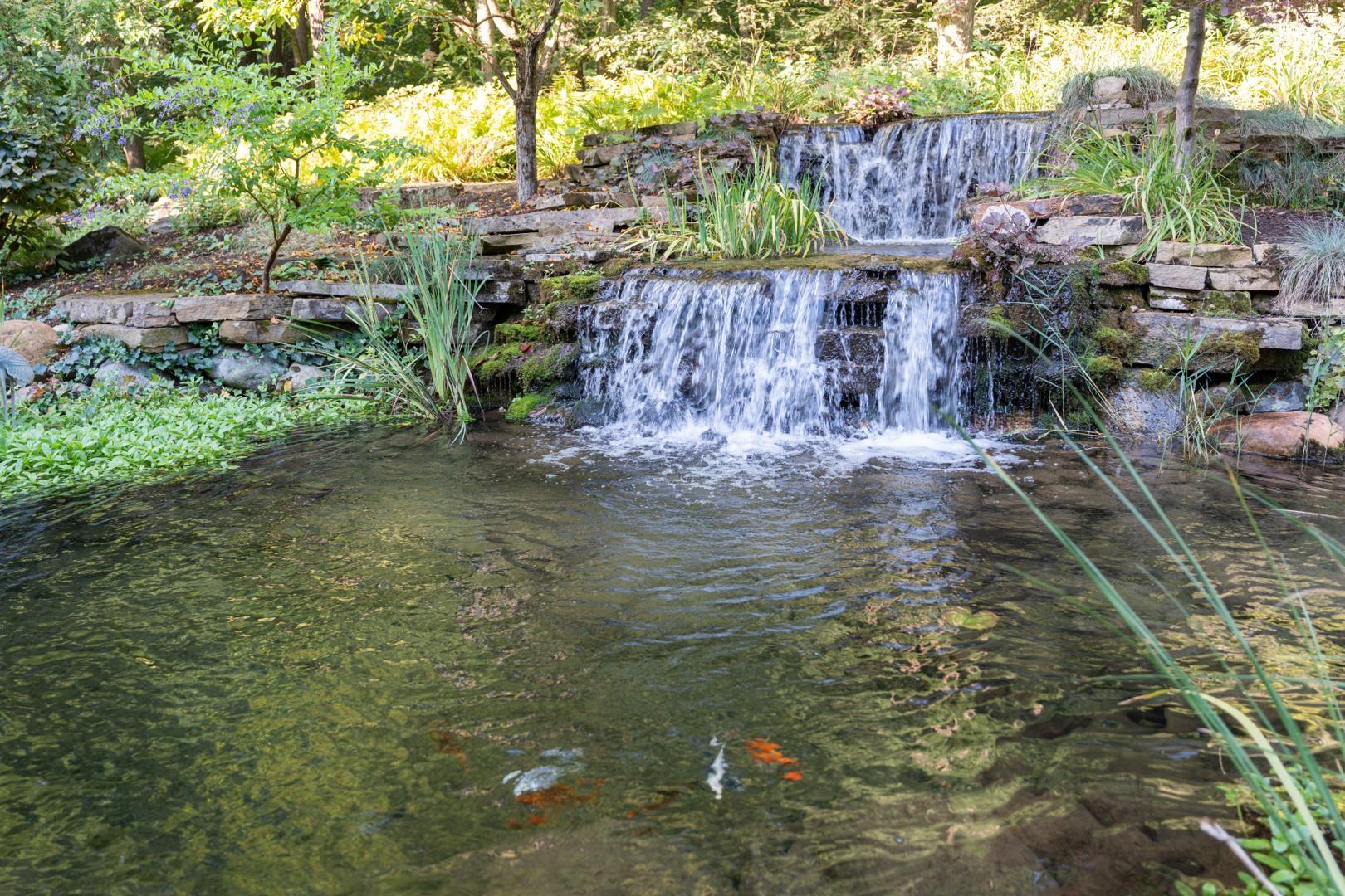 Image 2: Waterfall and Koi Pond