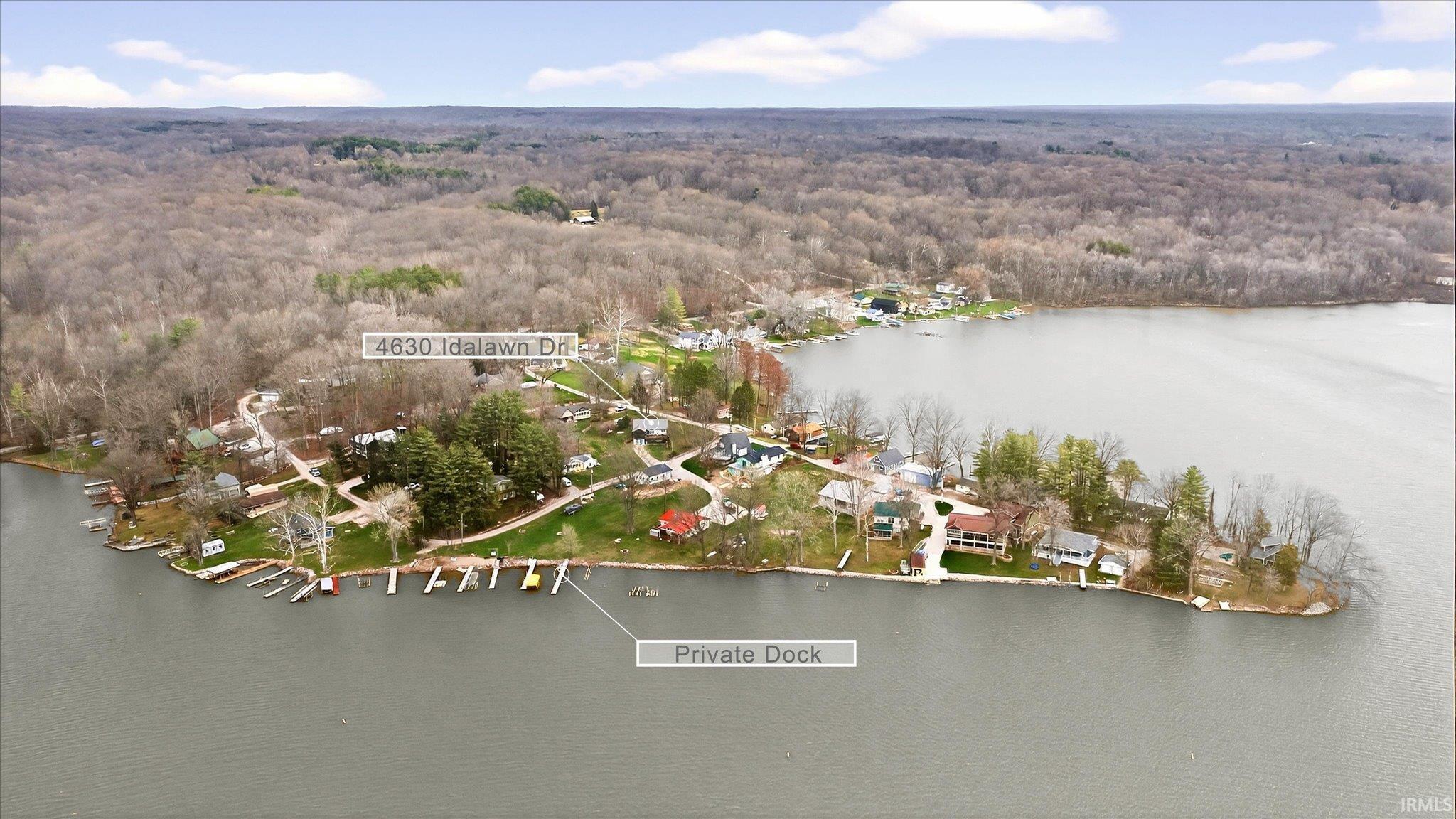 Image 1: Bird's eye view of a forest and a nearby body of water, Aerial View Image 1: Bird's eye view of a forest and a nearby body of water, Aerial View