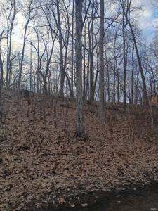 LN 131 C turkey lake lot # 23 &24