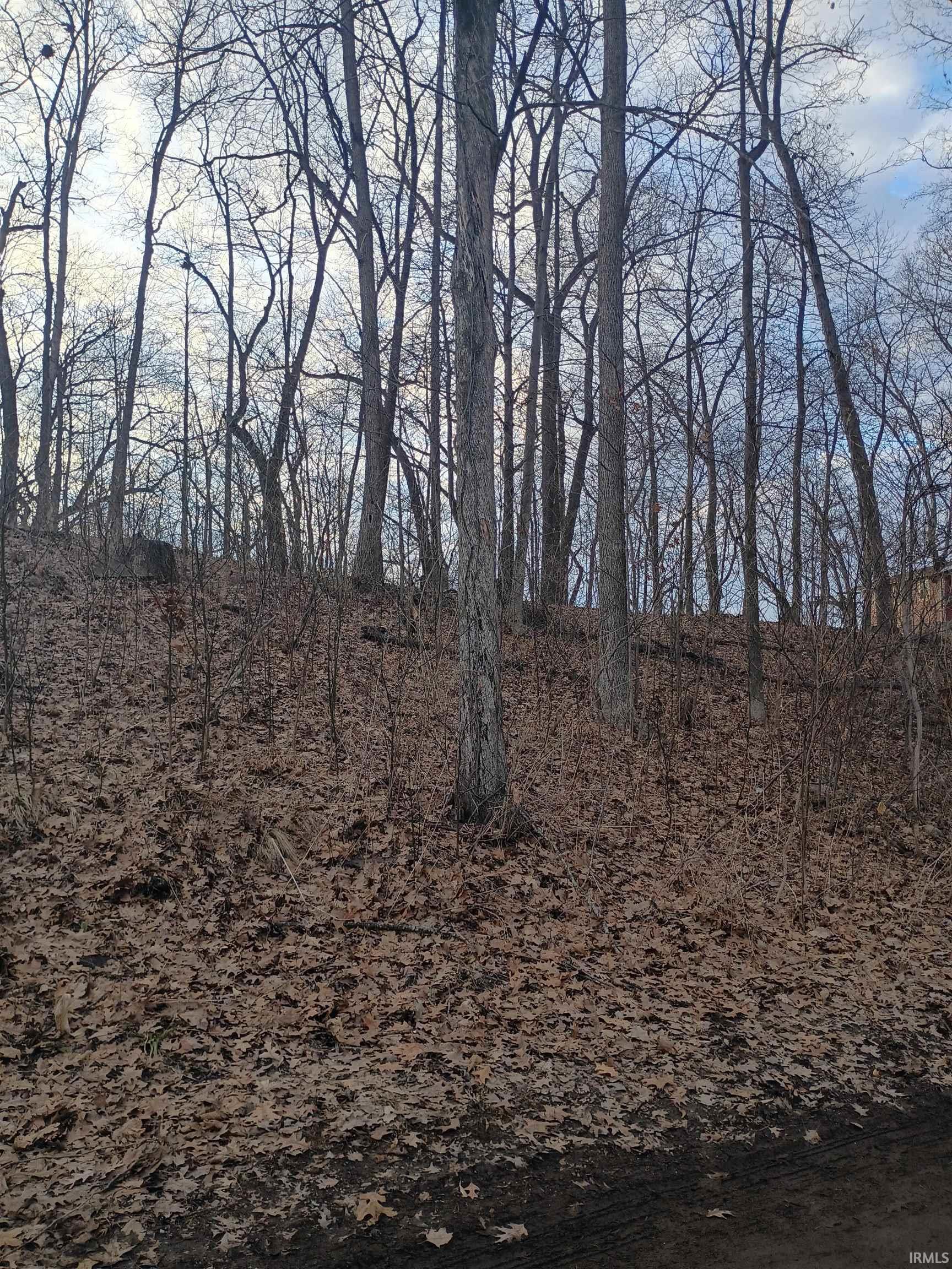 Image 0: View of nature, View Image 0: View of nature, View