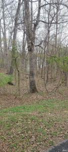 Lots 20A & 21 Hickory Ridge