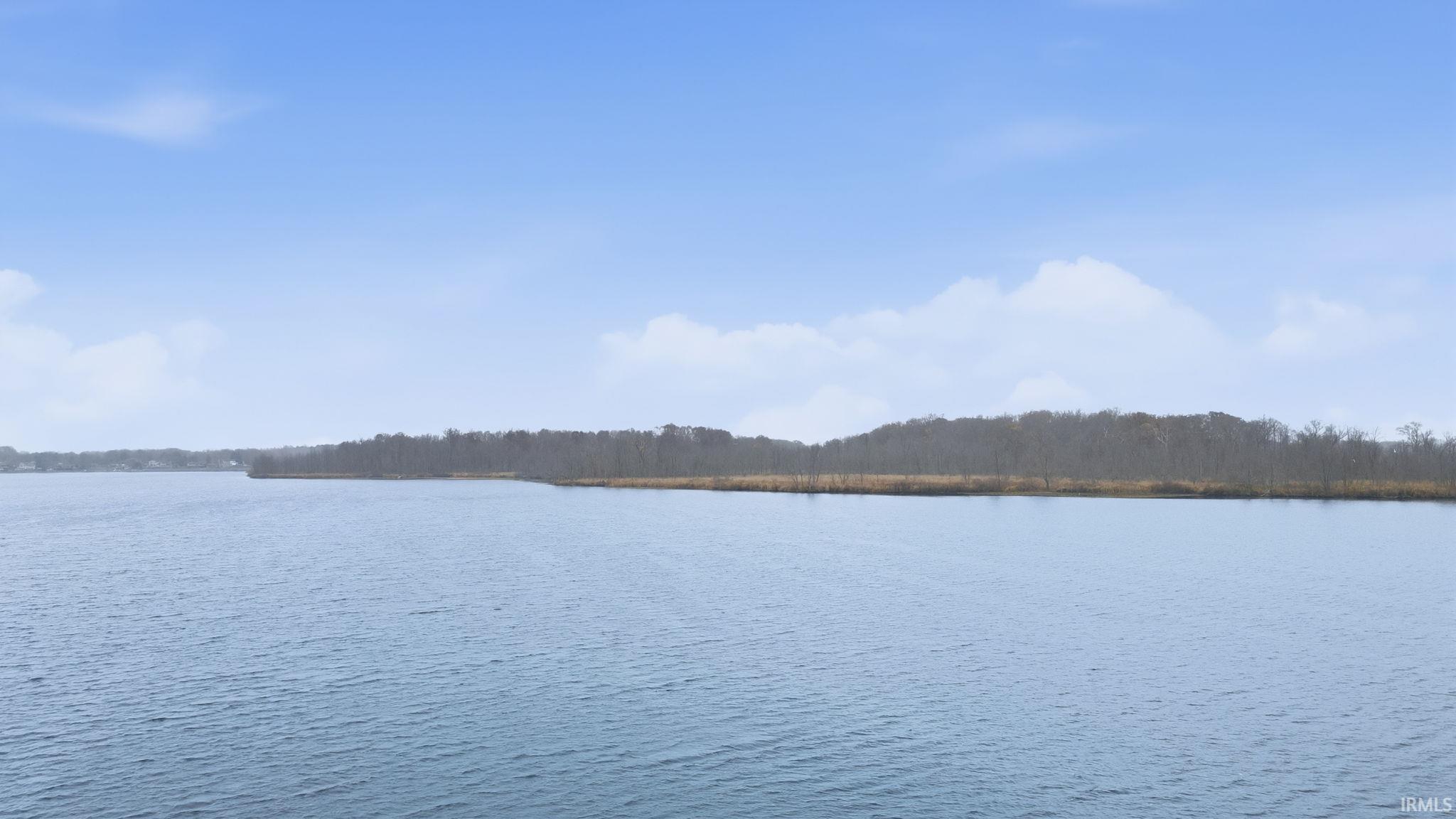 Image 2: Water view with a forest, View