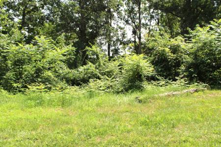 Lots 396 & 397 LN 415 A Jimmerson Lake
